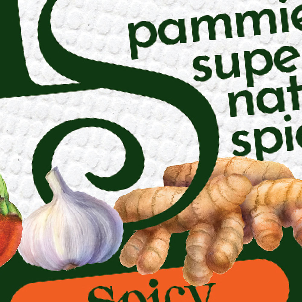 spicy blend food packaging design for pammies super natural spice